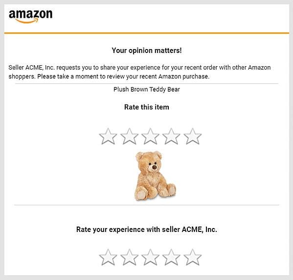 Amazon Review Template