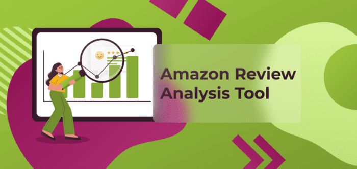 Amazon Review Analysis Tool | SageMailer